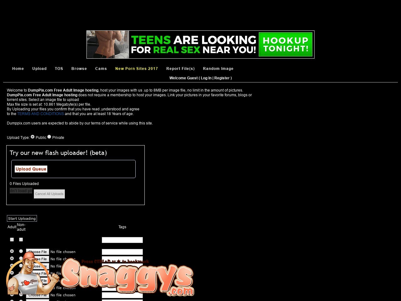 DumpPix - DumpPix.com - Adult Image Hosts - Snaggys Best Porn Sites